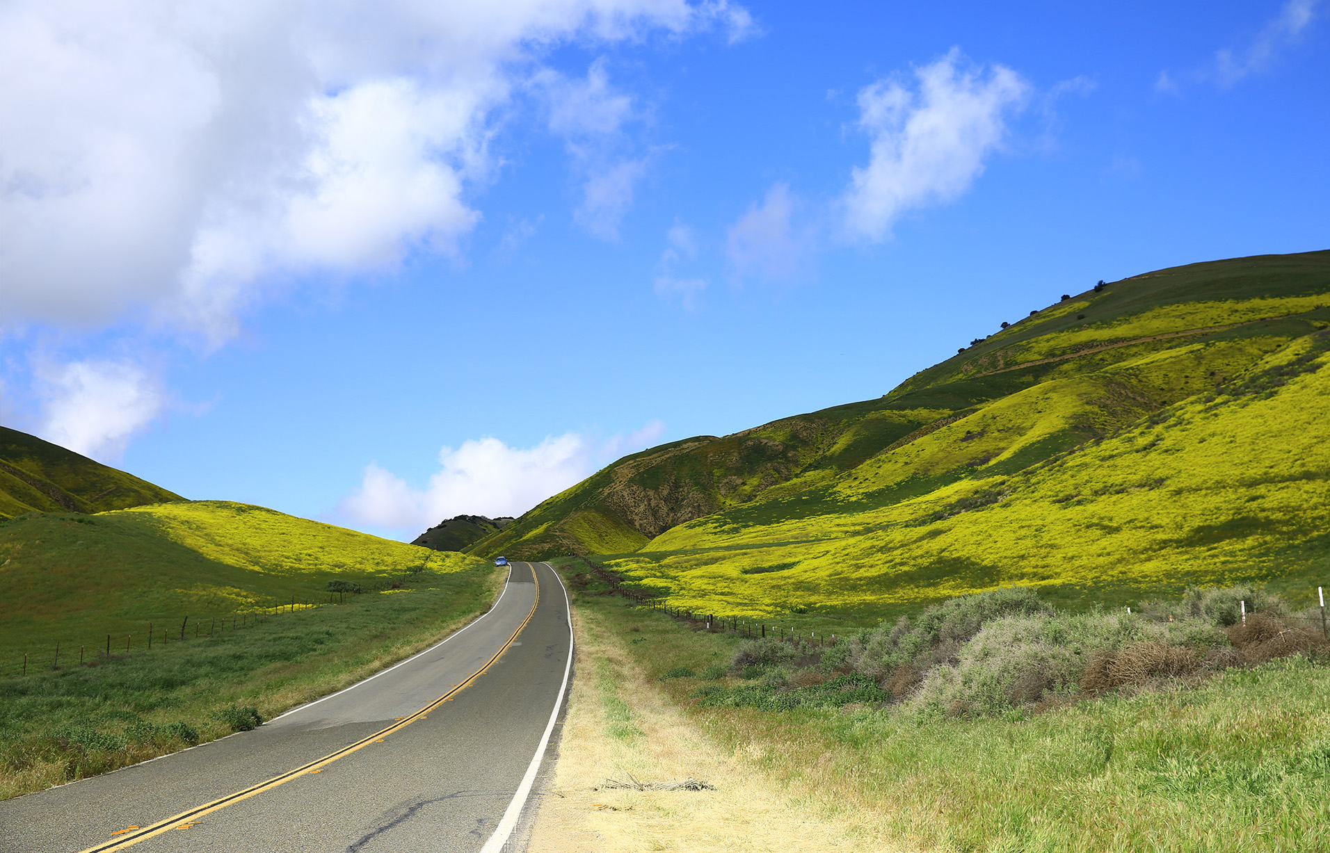 Scenic roadway in the country Photography by Dr. Padval